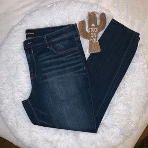 Express Skinny Jeans